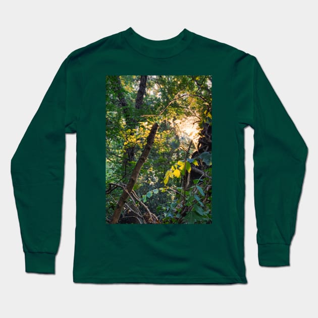 Branches Long Sleeve T-Shirt by Scala Ad Astra Forum
